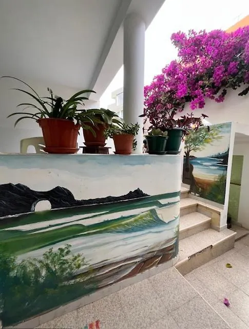 Vivenda Viviani Bed & Breakfast Praia 3*,  Cape Verde