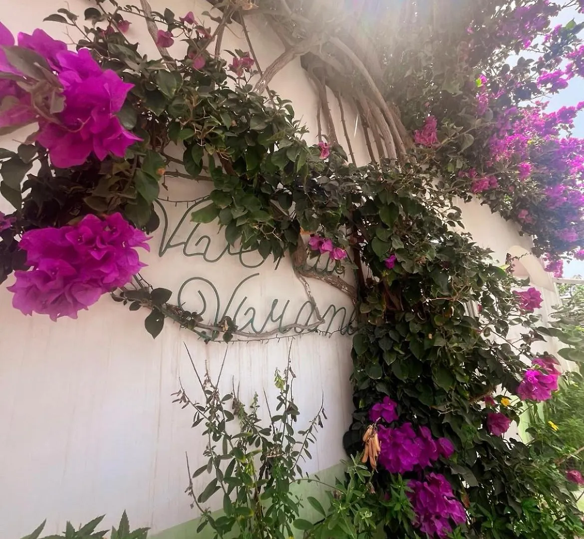 Vivenda Viviani Bed & Breakfast Praia