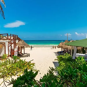 Bed and breakfast Chancabañita Tulum